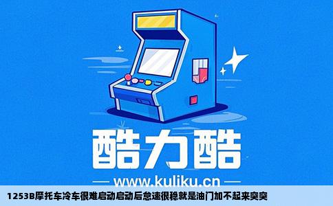 1253B摩托车冷车很难启动启动后怠速很稳就是油门加不起来突突