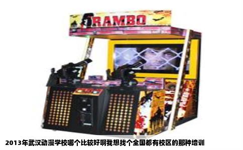 2013年武汉动漫学校哪个比较好啊我想找个全国都有校区的那种培训