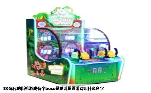 80年代的街机游戏有个boss是龙叫稻妻游戏叫什么名字
