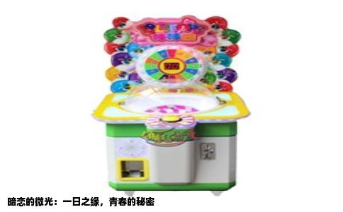 暗恋的微光：一日之缘，青春的秘密