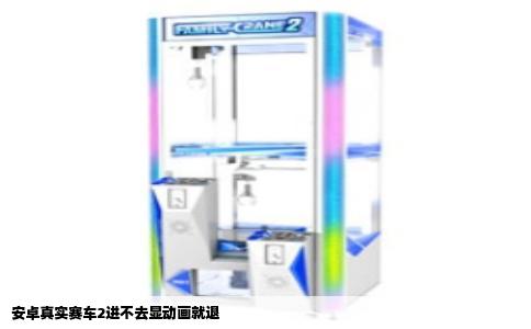 安卓真实赛车2进不去显动画就退