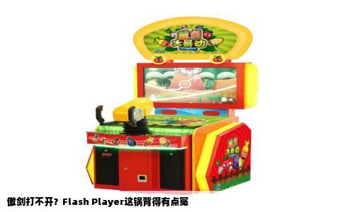 傲剑打不开？Flash Player这锅背得有点冤