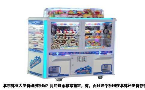 北京林业大学有动漫社吗？我的答案非常肯定，有，而且这个社团在北林还挺有存在感，你要是感兴趣，慢慢往下看。