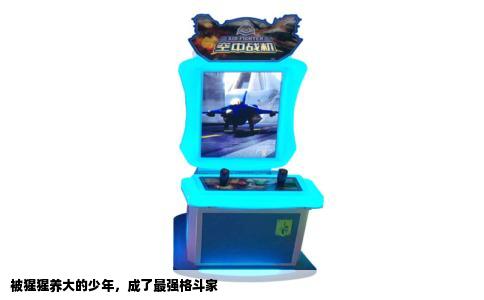 被猩猩养大的少年，成了最强格斗家