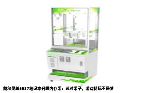 戴尔灵越5537笔记本升级内存条：选对条子，游戏畅玩不是梦