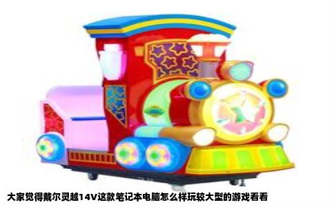 大家觉得戴尔灵越14V这款笔记本电脑怎么样玩较大型的游戏看看