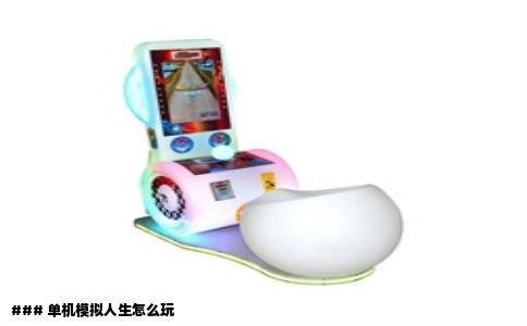 ### 单机模拟人生怎么玩