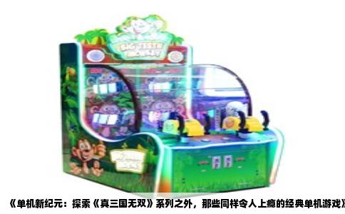 《单机新纪元：探索《真三国无双》系列之外，那些同样令人上瘾的经典单机游戏》