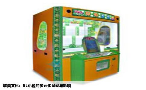 耽美文化：BL小说的多元化呈现与影响