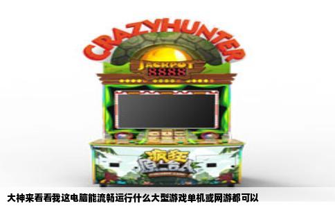 大神来看看我这电脑能流畅运行什么大型游戏单机或网游都可以