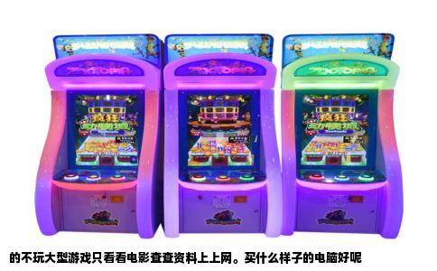 的不玩大型游戏只看看电影查查资料上上网。买什么样子的电脑好呢