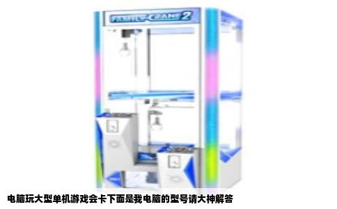 电脑玩大型单机游戏会卡下面是我电脑的型号请大神解答