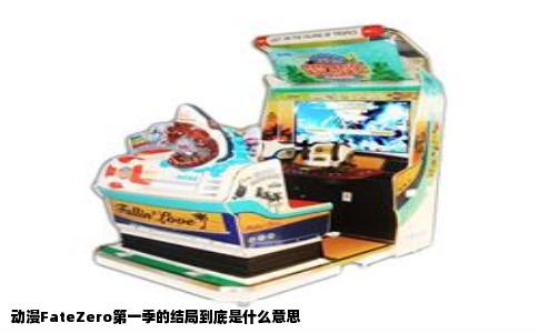 动漫FateZero第一季的结局到底是什么意思