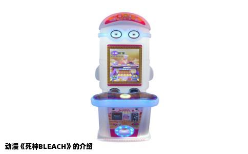 动漫《死神BLEACH》的介绍