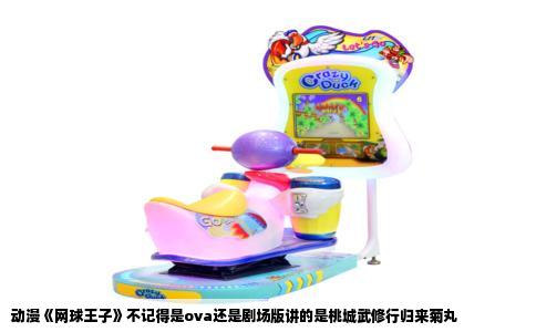 动漫《网球王子》不记得是ova还是剧场版讲的是桃城武修行归来菊丸