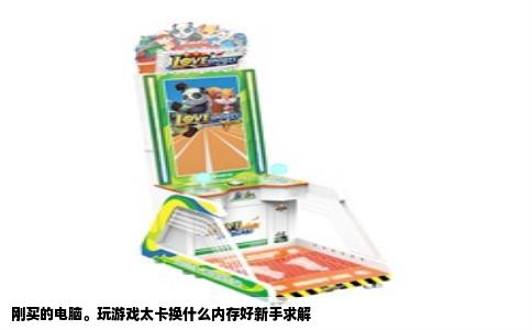 刚买的电脑。玩游戏太卡换什么内存好新手求解