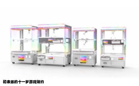 和表弟的十一岁游戏赌约