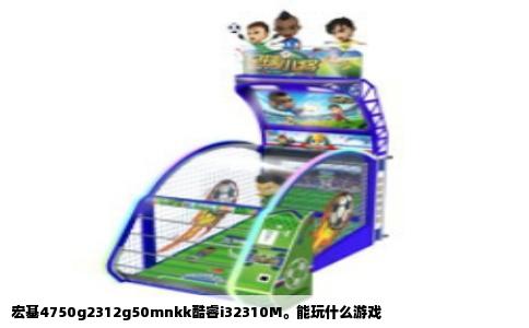 宏基4750g2312g50mnkk酷睿i32310M。能玩什么游戏