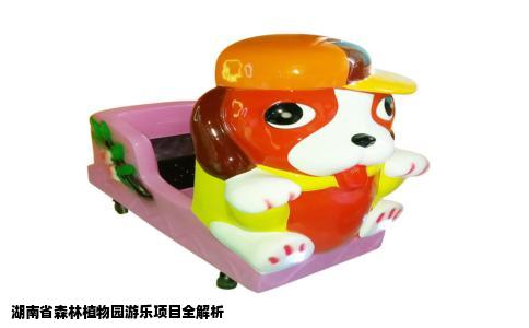 湖南省森林植物园游乐项目全解析