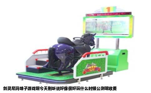 剑灵尼玛啥子游戏啊今天刚听说好像很好玩什么时候公测呢收费