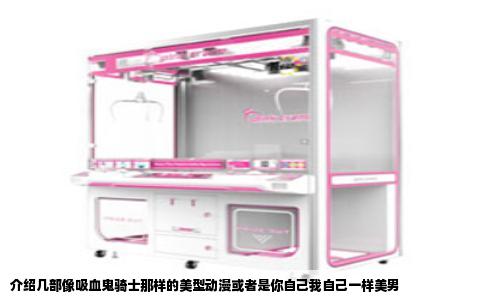 介绍几部像吸血鬼骑士那样的美型动漫或者是你自己我自己一样美男