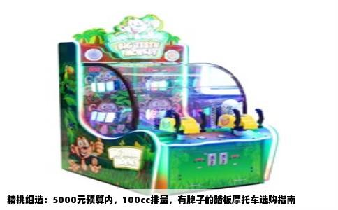 精挑细选：5000元预算内，100cc排量，有牌子的踏板摩托车选购指南