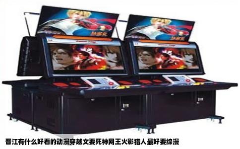 晋江有什么好看的动漫穿越文要死神网王火影猎人最好要综漫