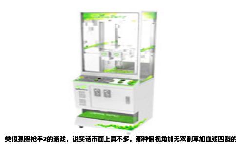 类似孤胆枪手2的游戏，说实话市面上真不多。那种俯视角加无双割草加血浆四溅的独特手感，不是随便换个皮就能复刻的。但如果你真把这个类型玩透了、子弹打空了、肾上腺素也快磨平了，下面这几个我实际玩过上百小时的硬货，应该能给你解解馋。