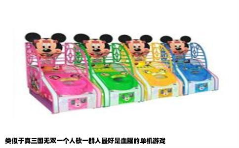 类似于真三国无双一个人砍一群人最好是血腥的单机游戏