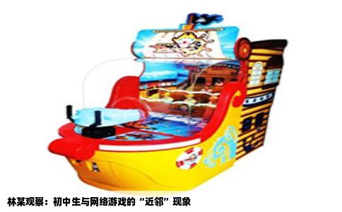 林某观察：初中生与网络游戏的“近邻”现象
