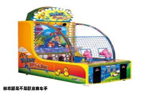 林志颖是不是职业赛车手