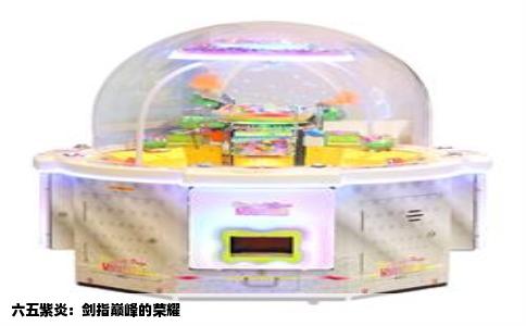 六五紫炎：剑指巅峰的荣耀
