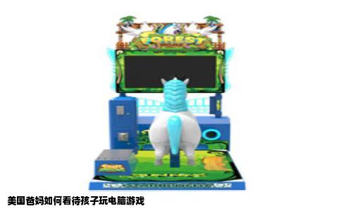 美国爸妈如何看待孩子玩电脑游戏