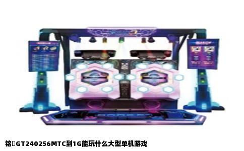 铭瑄GT240256MTC到1G能玩什么大型单机游戏