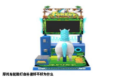 摩托车轮胎打自补液好不好为什么