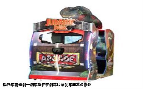 摩托车前碟刹一刹车就在在刹车片漏刹车油怎么修处