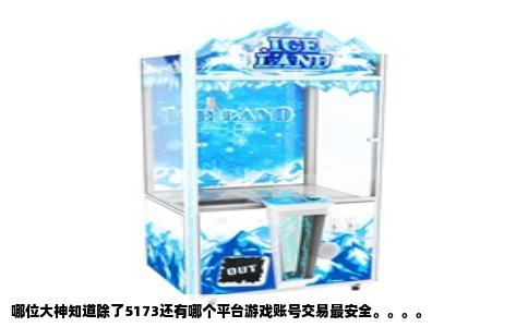 哪位大神知道除了5173还有哪个平台游戏账号交易最安全。。。。