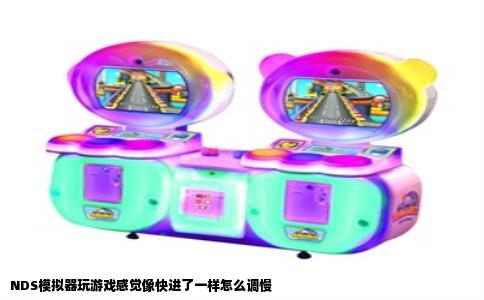 NDS模拟器玩游戏感觉像快进了一样怎么调慢