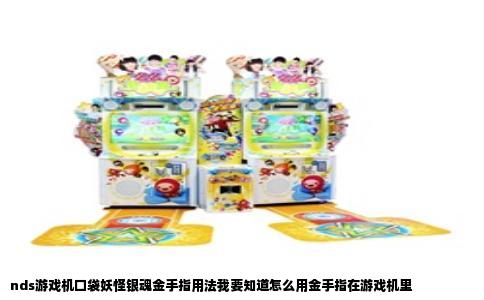 nds游戏机口袋妖怪银魂金手指用法我要知道怎么用金手指在游戏机里