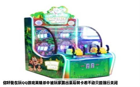 你好我在玩QQ游戏英雄杀中被玩家踢出来后就卡着不动只能强行关闭