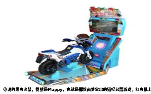 你说的黑白老鼠，我猜是Mappy，也就是那款南梦宫出的猫捉老鼠游戏。红白机上的日版叫《マッピー》，美版叫Mappy，国内盗版卡带经常印着“快乐鼠”或者干脆就叫“黑白老鼠”。