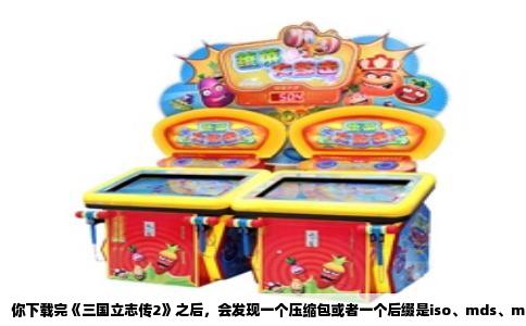 你下载完《三国立志传2》之后，会发现一个压缩包或者一个后缀是iso、mds、mdf的镜像文件。这不是你平时双击就能打开的文档，它是一张虚拟的光盘。游戏装进电脑那会儿，光驱还是标配，防盗版就是靠让你放光盘进游戏。现在没几个人有光驱了，所以得用虚拟光驱软件来“骗”过系统，让它以为你插着盘。