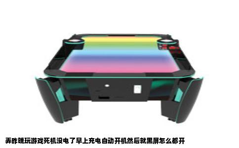 弄昨晚玩游戏死机没电了早上充电自动开机然后就黑屏怎么都开