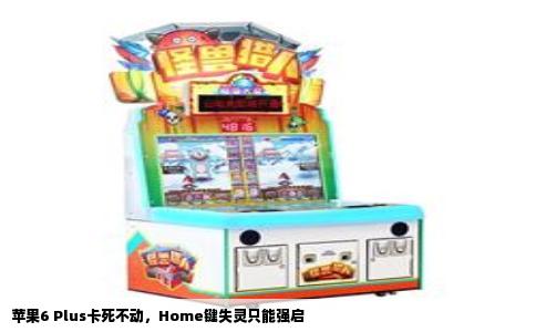 苹果6 Plus卡死不动，Home键失灵只能强启