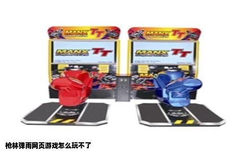 枪林弹雨网页游戏怎么玩不了