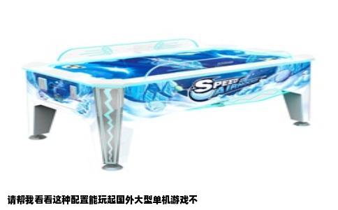 请帮我看看这种配置能玩起国外大型单机游戏不