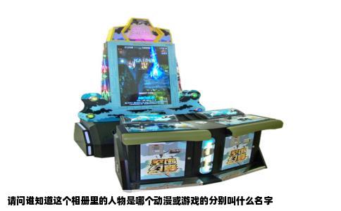 请问谁知道这个相册里的人物是哪个动漫或游戏的分别叫什么名字