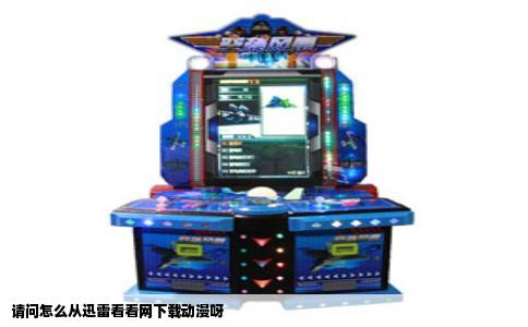 请问怎么从迅雷看看网下载动漫呀