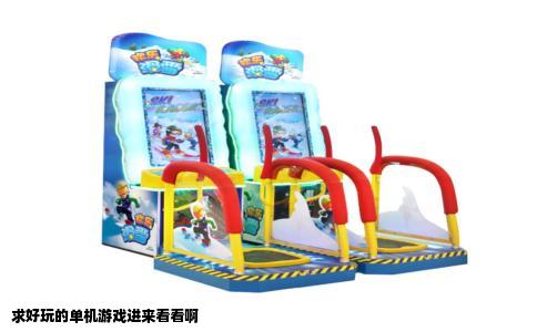 求好玩的单机游戏进来看看啊