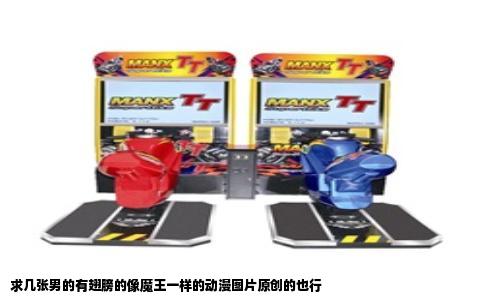 求几张男的有翅膀的像魔王一样的动漫图片原创的也行